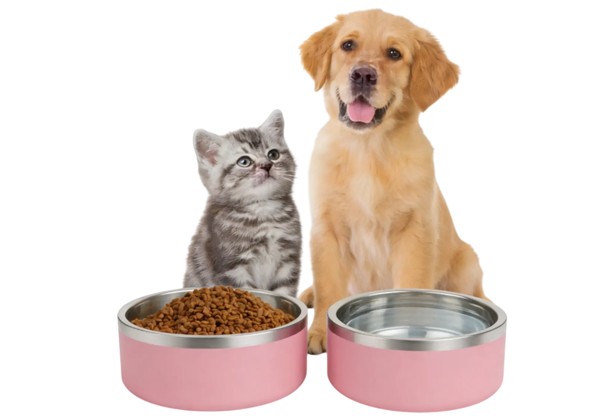Straight Dog Bowl